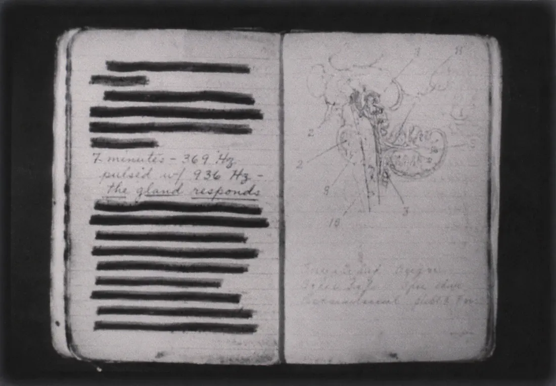 Close-up of Nikola Tesla's handwritten notebook page showing the 369 Hz / 936 Hz formula